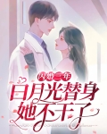 小说闪婚三年