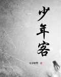 少年客