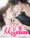 双宝来袭爹地还情