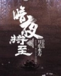 暗夜将至 耳东水寿 小说