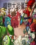 植物大战僵尸记录丢失