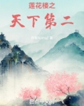 莲花楼之天下第二笔趣阁