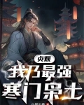 贞观:我乃最强寒门枭士白银长歌
