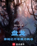 盘龙：穿越亿万年潜力耗尽