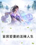 首席爱妻命中注定免费阅读全文