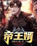 帝王婿TXT