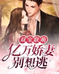 双宝联盟:亿万爹地宠