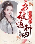 当小妾类言情小说