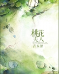 桃花夫人青木源免费阅读