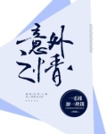 意外之什么
