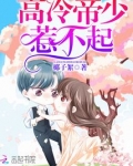 高冷帝少惹不起小说