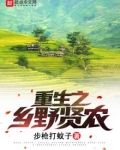重生之乡野贤农TXT
