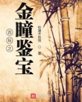 古玩之金瞳鉴宝 香书网