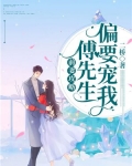 错撩成瘾:傅先生乖乖宠我