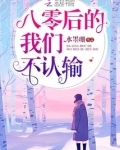 八零后的我们不认输小说