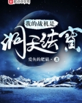 我的战机是洞天法宝 小说