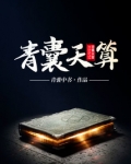 青囊天算免费全文阅读完整版