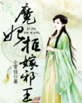 魔妃拒嫁邪王txt