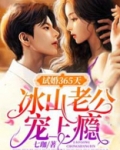 试婚365天：冰山老公宠上瘾