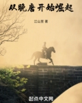 从晚唐开始崛起TXT下载