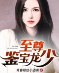 至尊龙少归来视频