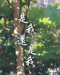 是我还是我