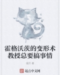 霍格沃茨的变形术教授总要搞事情 小说