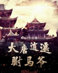 大唐逍遥驸马爷短剧免费观看
