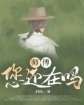 师傅，您还在吗