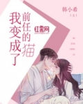 我变成了前任的猫小说