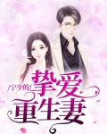 宁少宠妻甜如蜜