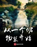 从一个储物袋开始 小说