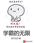 学霸无敌的小说