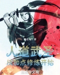 武道圣人小说