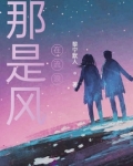 那是风在流浪是什么歌