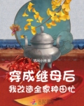 穿成后妈怎么办