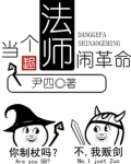 当个法师闹革命小说