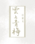 云上青梅书评