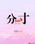 分寸顾燕笙小说全文免费阅读