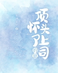 怀了顶头上司的崽作者若诗安轩