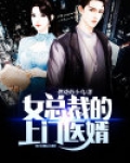 女总裁的上门医婿 寂夜如零