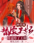 冲喜夜替嫁王妃带崽炸了王府快餐