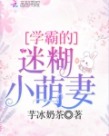 学霸的迷糊小萌妻