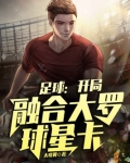 足球：开局融合大罗球星卡
