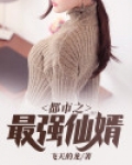 都市之最强仙婿