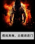 假戏真做，总裁请进门
