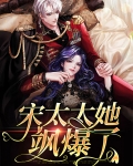 宋太太有点甜结局