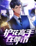 护花高手在都市