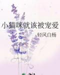 小猫咪就该被宠爱轻风白杨