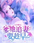 天才萌宝爹地追妻很疯狂